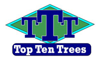 Top Ten Trees